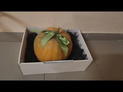 Видео: Всем осенний привет от нас из Белгорода! #осень#белгород