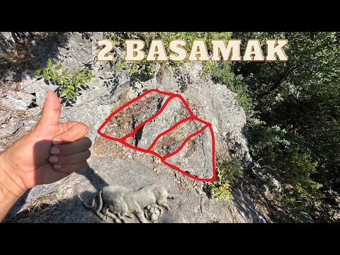 Видео: Сокровище, найденное под двухступенчатой лестницей