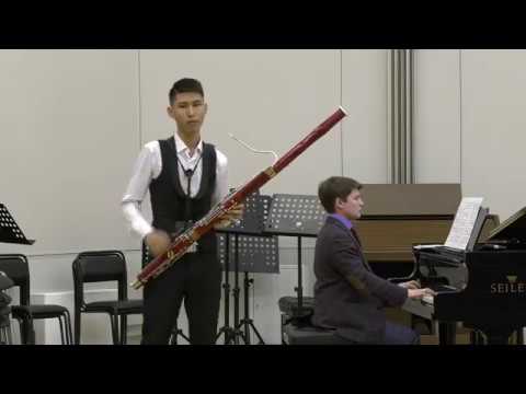 Видео: Данабек Ерканат (фагот) группа D