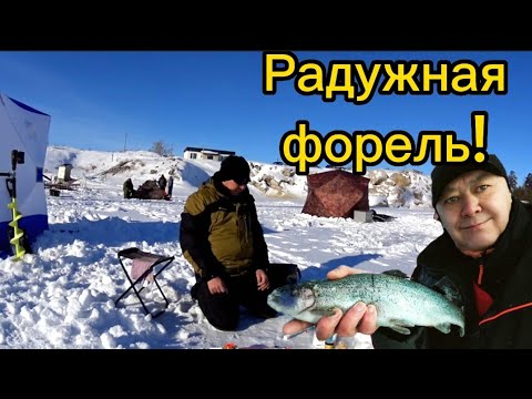 Видео: Рыбалка со льда! Форель на мормышку! fishing kazakhstan
