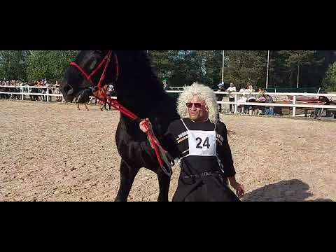 Видео: Иппосфера 2025. Четвертый день. Выбор абсолютного чемпиона выставки
