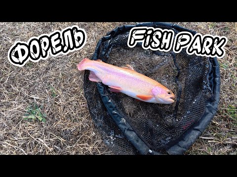 Видео: Выезд на прудовую Форель озеро FishPark! 🎣🔥