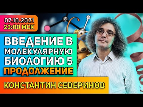 Видео: Константин Северинов. Введение в молекулярную биологию: Про белки: молекулярные трансформеры. Part 2
