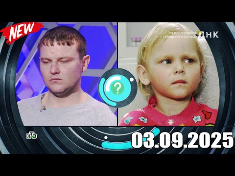 Видео: ДНК . Выпуск от 03.09.2025 - «От кого родила гулящая невестка » - Передачи НТВ
