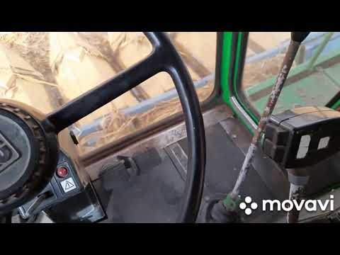 Видео: Приблизна урожайність кукурудзи Піонер.