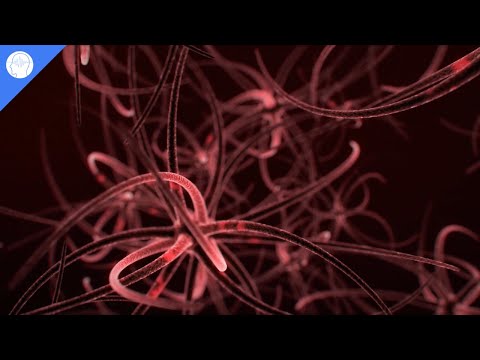 Видео: Увеличение мощности мозга, повышение интеллекта, улучшение интеллекта, бинауральные ритмы