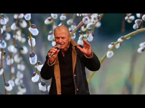 Видео: Все метели прошли.П Сотник.Видео Н Афанасьева.