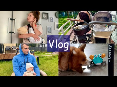 Видео: минусы и плюсы колясок 🤓Сэдди схватил краба 😅поехали на ДР 🥳 VLOG