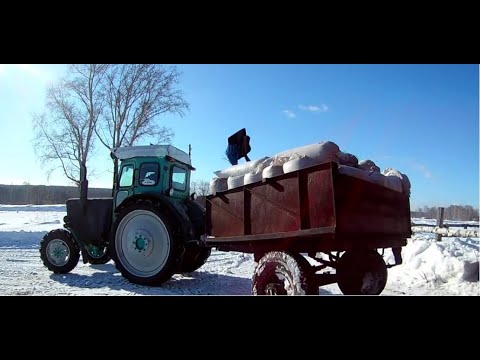 Видео: За зерном на Т-40АМ.