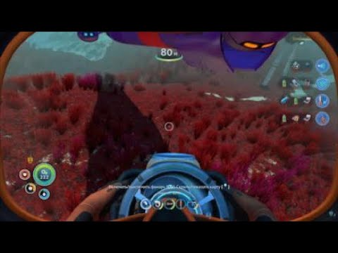 Видео: Сабнатика 17я часть вы ждали?