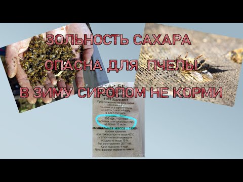 Видео: САХАРНЫЙ СИРОП В ЗИМУ ПЧЁЛАМ,ОГРОМНЫЙ РИСК. ЗИМОВКА НАЧАЛАСЬ.
