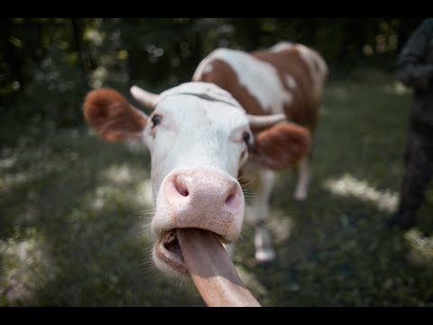 Видео: СЕЛО и ЛЮДИ. 300км Жести. Фото Село Вело Тур (часть1)