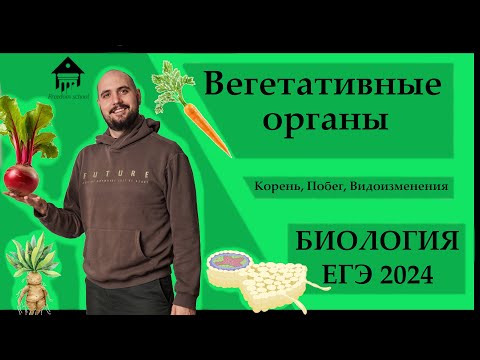 Видео: Вегетативные Органы Растений для ЕГЭ 2024 |ЕГЭ БИОЛОГИЯ|Freedom|