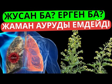 Видео: 1045 ауруға ем екен! Жусанның адам организміне пайдасы ергеннің пайдасы