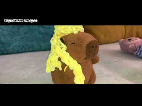 Видео: ‘Сарнайгийн амьдрал’ 1-р анги 🩷