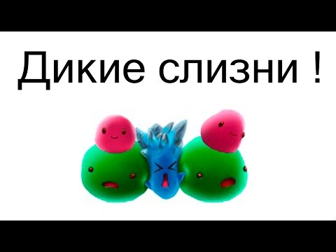 Видео: Дикие слизни ! ( Slime Rancher )