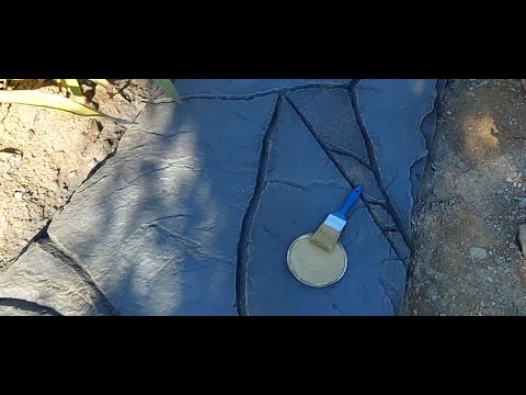 Видео: Покраска садовой дорожки *)