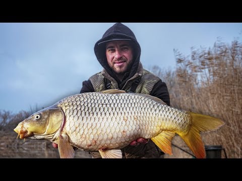 Видео: КЛЮНУЛ МОНСТР! Ловля КАРПА в холодное время года! Закрытие карпового сезона!