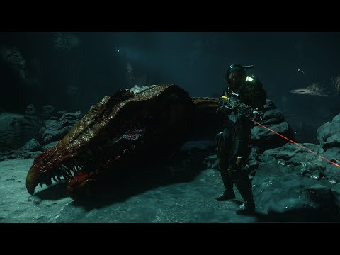 Видео: Просто стрим | Star Citizen