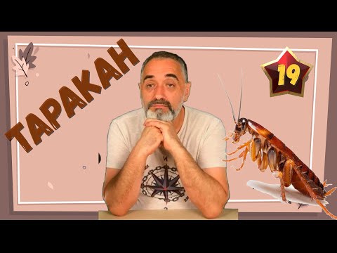 Видео: Таракан /Акулы из стали. Второй сезон / Читает Эдуард Овечкин