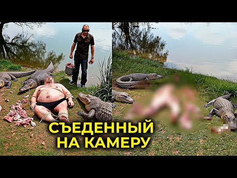Видео: Самые жестокие казни детских хищников, совершенные родителями