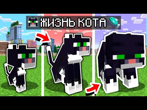 Видео: 😱 Я Прожил Жизнь КОТА От Рождения до Старости в Майнкрафт !