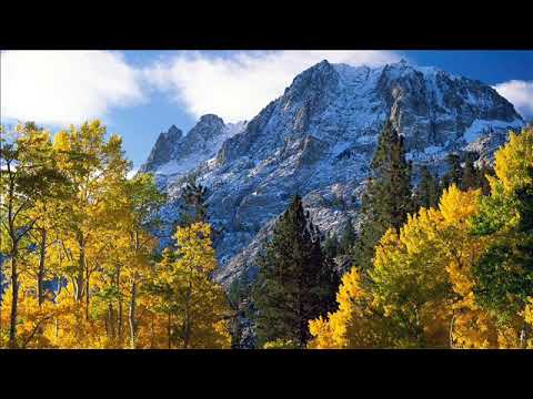 Видео: 7 дом в Раке