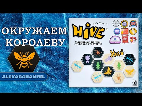 Видео: Улей настольная игра