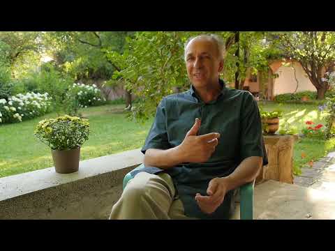 Видео: Разговори за Паневритмията - Андрей Грива