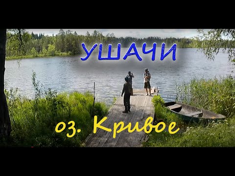 Видео: Велопоход Ушачи - оз.Кривое