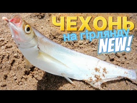 Видео: Гірлянда на Чехонь із Поплавком ⚡ Практична рибалка