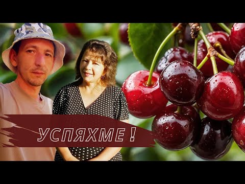 Видео: Много лесно си сушим плодове, за да има да си хапваме през зимата | Живот на село | Боби и Катето