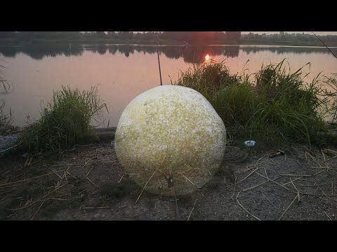 Видео: мамалыга для холодной воды/ вы еще варите мамалыгу?  а может так проще ?