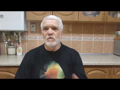 Видео: Частая проблема у дискусов 2
