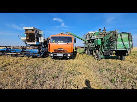 Видео: На Камазе на уборке ячменя. Проблемы с урожаем.