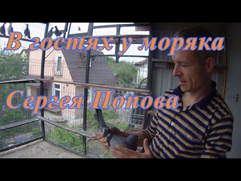 Видео: В ГОСТЯХ У МОРЯКА