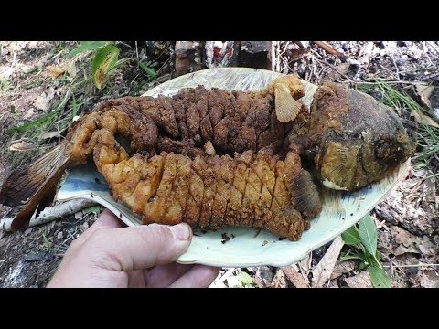 Видео: Сазан во фритюре, жарю без костей, #МоиРецепты#Сазан#Карп