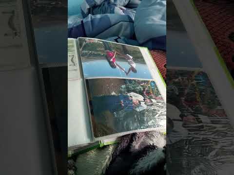 Видео: 7 ноября 2025 г.