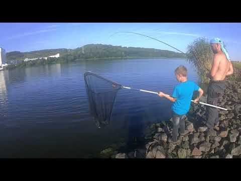 Видео: Рыбалка в Германии. Рыбалка с ночевкой на Эльбе. Лещ и угорь.