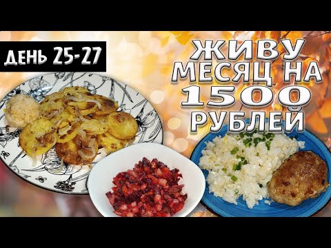 Видео: Выживаю месяц на 1500 рублей. Осень 2024 год. День 25-27.