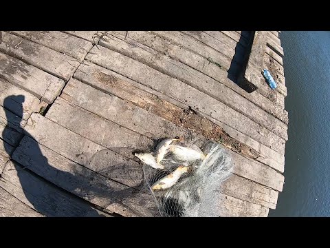 Видео: ВОТ ЭТО Я ПОПАЛ НА ХОД САЗАНА,Я ДУМАЛ ОНИ МЕНЯ УТЯНУТ ВМЕСТЕ С СЕТЬЮ. ПО 5 САЗАНОВ ЗА ОДИН ЗАБРОС!