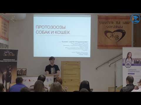 Видео: Протозоозы у собак и кошек. Кокцидиоз и пр. Лечение и профилактика.