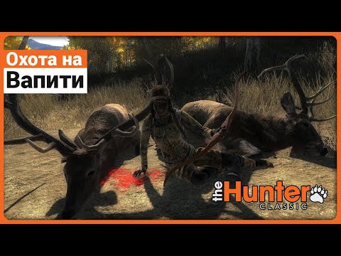 Видео: Охота на Вапити в theHunter Classic !