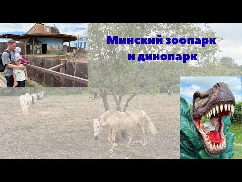 Видео: Зоопарк и Динопарк Минск