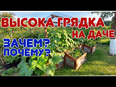 Видео: Высокая грядка для огурцов и помидор @galabum