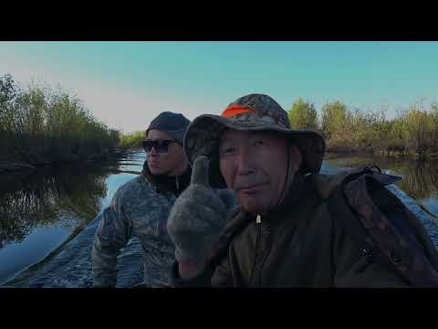 Видео: Весенняя охота на уток на Севере Якутии. часть 3 В гостях у местных отшельников.