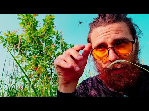 Видео: #ДЫХАНИЕ#ВСЕЛЕННОЙ и Мира