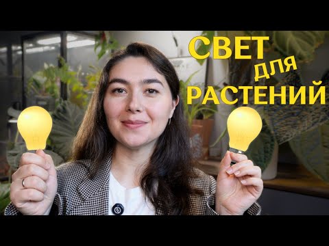 Видео: как я ДОСВЕЧИВАЮ растения | обзор ФИТОЛАМП и варианты ОСВЕЩЕНИЯ для РАСТЕНИЙ ⚡️