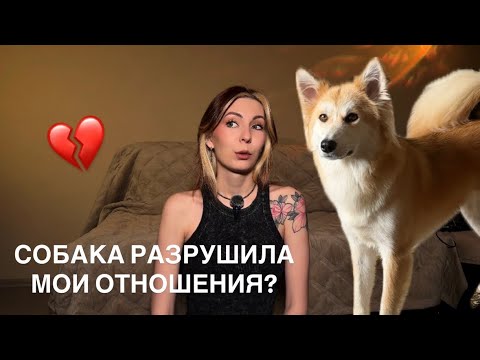 Видео: МОЯ МЕЧТА РАЗРУШИЛА МОЮ ЖИЗНЬ🫠 Или история появления Мяты. Депрессия, развод и котики.