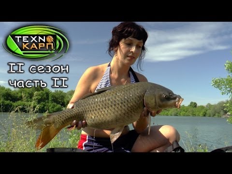 Видео: Про Рыбалку. Ловля Карпа на Бойлы в Коряжнике. Часть 2.